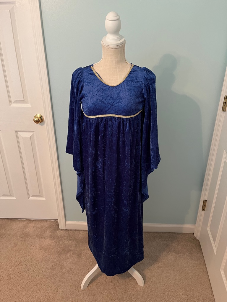 California Costumes Girls Large Blue Velvet Renaissance Medieval Costume